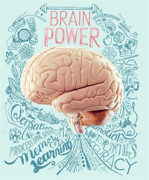 Brain Power By Sarah Jane Coleman Via Behance Brain Graphic Brain