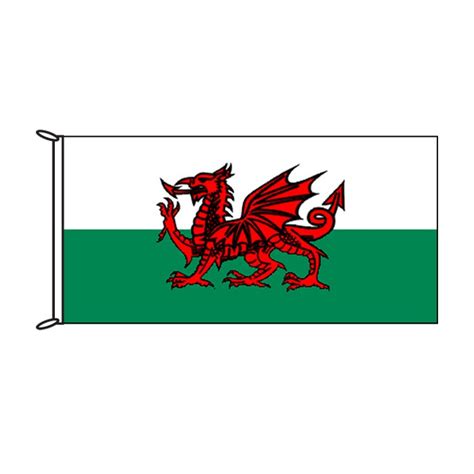 Wales Flag Flags And Banners Custom Printing Marquees Flagworld
