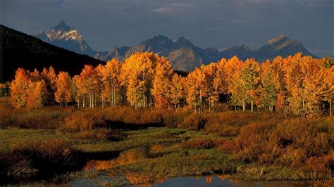 Fall In Jackson Hole 6 Things To Do In Grand Teton National Park