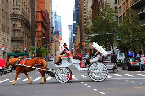 Tripadvisor Horse Carriage Ride Through Central Park In Nyc With