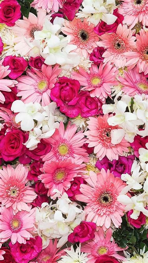 Pretty Pink Flowers Flower Iphone Wallpaper Pink