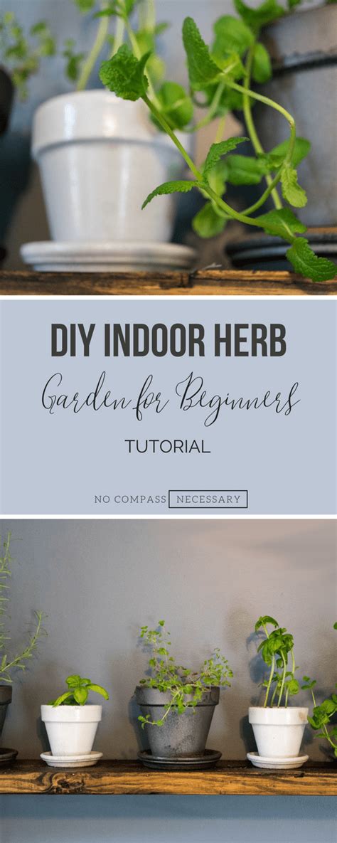 Indoor Herb Gardening For Beginners Herbs Indoors Diy Herb Garden Home Vegetable Garden