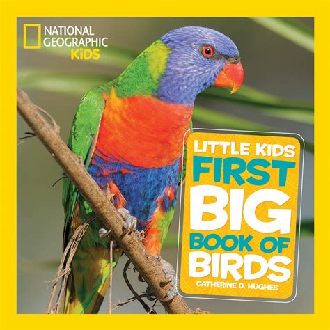 National Geographic Little Kids First Big Book Of Birds Childrens