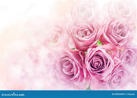 Close Up Of Rose Flower Bouquet With Blur Bokeh Background Stock Image