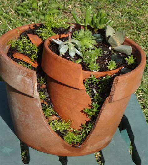 Succulent Garden I Made Out Of Broken Clay Pots Moss Cacti And Potting Soil Miniature Garden