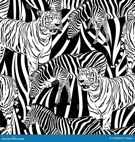 Tiger And Zebra Seamless Pattern Stock Vector Illustration Of Feline