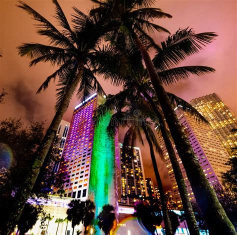 Tall Palm Trees And Skyscrapers In Downtown Miami At Night Stock Photo