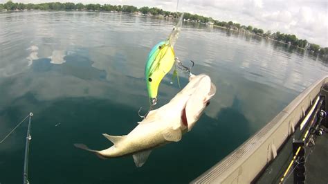 Tuesday Fisher Lake Youtube