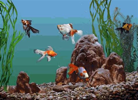 Animated  Aquarium