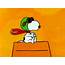 Snoopy  Peanuts Wallpaper 26798453 Fanpop