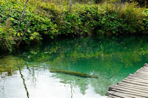 A Turquoise Lake In A Peaceful Forest Environment Stock Photo Image