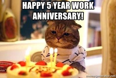 Happy work anniversary messages like — we would absolutely hang out with you even if we weren't compensated. Happy 5 year work anniversary! - Birthday Cat | Meme Generator
