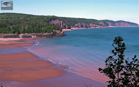 Phoebettmh Travel Canada Top Things To Do In Bay Of Fundy
