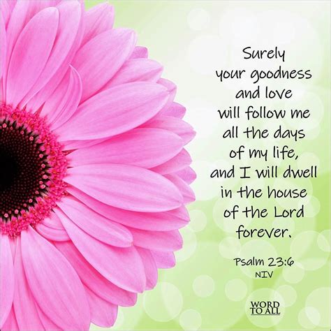 Surely Your Goodness And Love Will Follow Me All The Days Of My Life