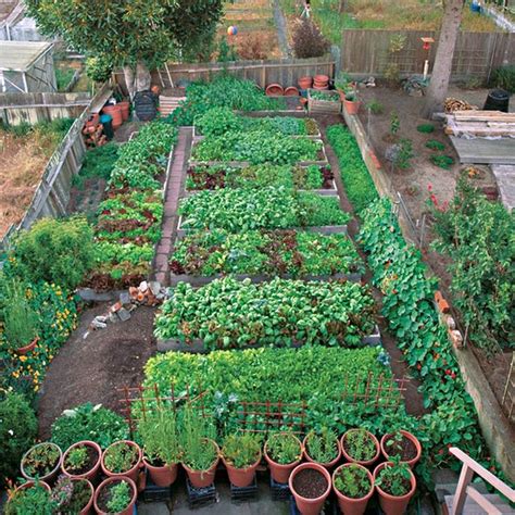 42 Extraordinary Vegetables Garden Ideas For Backyard