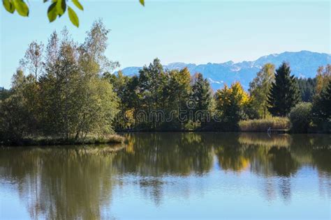 Autumn Lake Bavaria Germany Stock Photo Image Of Wood Water 158224454