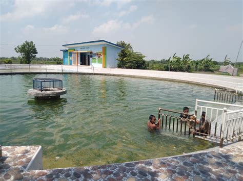 Kolam renang di bogor yang pertama adalah kolam renang zamzam tirta. Kolam Renang Randuagung Gresik - crlyk-indunnowhen