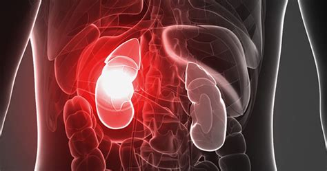 Paracetamol Abuse Could Cause Liver Kidney Failures Expert Newscorner