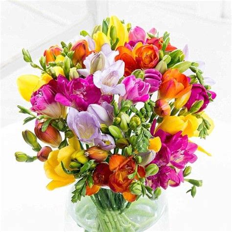 Simply Freesia Birthday Flowers Next Day Flowers And Free Uk