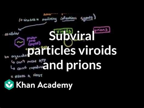 Subviral Particles Viroids And Prions Video Lecture Biology For MCAT