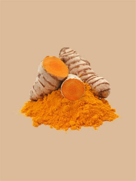 Best Turmeric Powder For Everyday Use Mishry