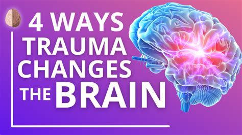 How Trauma And Ptsd Change Your Brain Therapy In A Nutshell