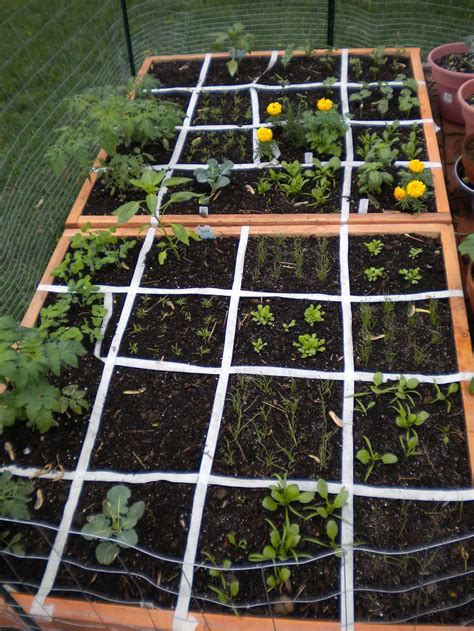 Great 17 Square Foot Gardening Ideas 17
