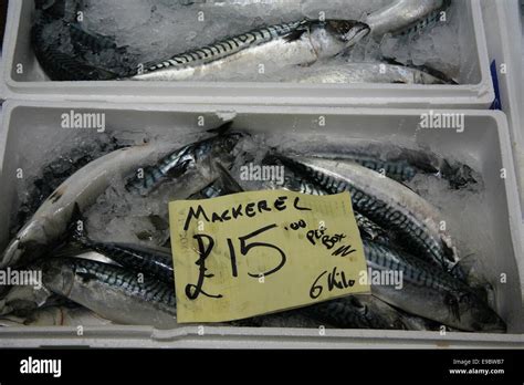 Fresh Mackerel Billingsgate Fish Market Hi Res Stock Photography And