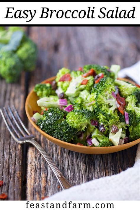Tangy Broccoli Salad Recipe Homemade Bread Recipes Easy Easy