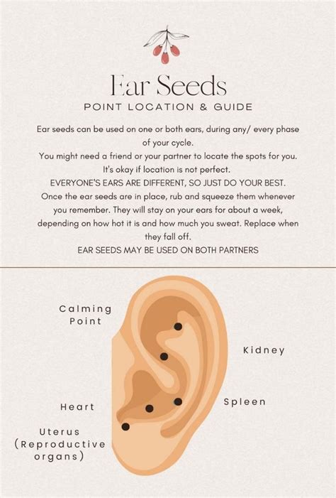 Printable Ear Seed Placement Chart