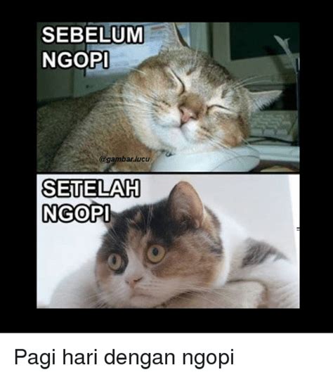 Download meme lucu untuk perang gambar terbaru 2018 berikut kumpulan koleksi gambar meme lucu terbaru 2018, bagi sobat yang gemar. Terbaru 22+ Gambar Meme Lucu Ngopi | Gambar lucu, Lucu ...
