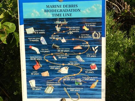 What All Beach Goers Should Be Aware Off Lets Help Keep Our Beaches