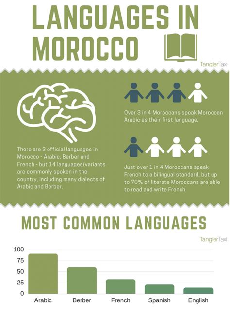 Languages In Morocco Tangiertaxi