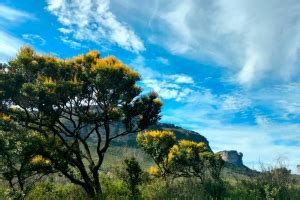 Pacote O Melhor Da Chapada Diamantina Dias Desviantes