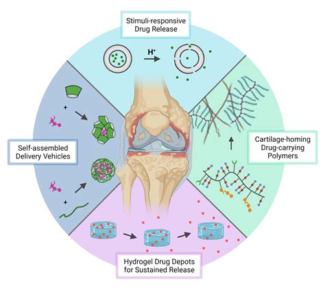 Drug Delivery Tissue Engineering And Biofabrication Eth Zurich