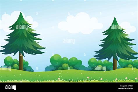 Illustration Of The Pine Trees At The Hilltop Stock Vector Image And Art