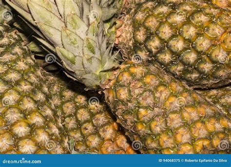Pineapple Stock Image Image Of Diet Summer Organic 94068375