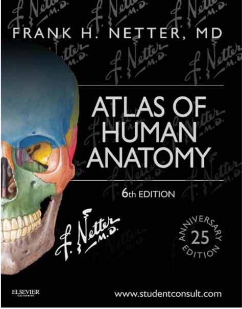 Netters Atlas Of Human Anatomy 6th Edition Pdf Free Download