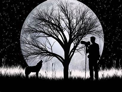 Silhouette Moon Night Nature Silhouettes Wolf Tree