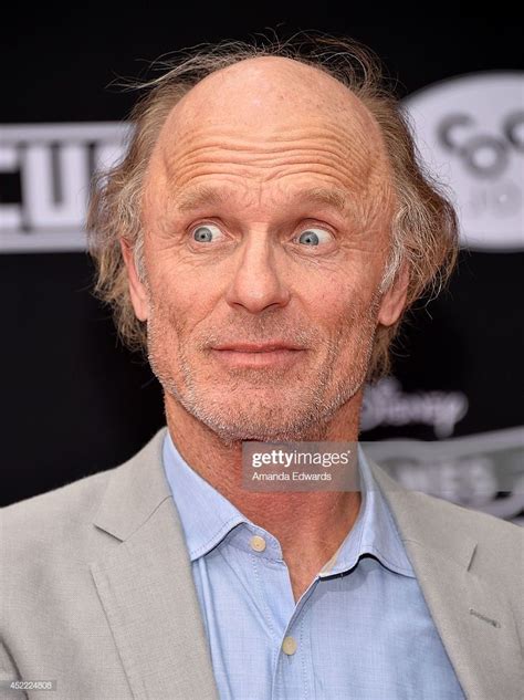 hollywood ca july 15 actor ed harris arrives at the los angeles premiere of disney s planes