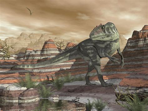 Allosaurus Dinosaur In The Desert 3d Render Digital Art By Elenarts