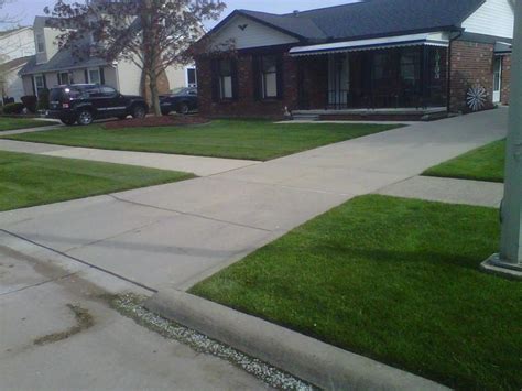 Professional Lawn Care By Green Thumb Lawn Service