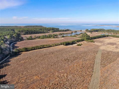 Painter, Accomack County, VA Undeveloped Land for sale Property ID