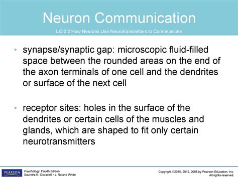 Which four body systems interact to allow a person to sneeze? The biological perspective - online presentation