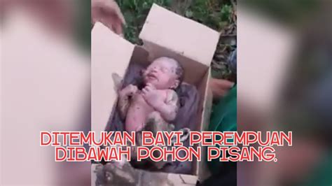 Ditemukan Bayi Dibawah Pohon Pisang Di Kabupaten Cirebon Youtube
