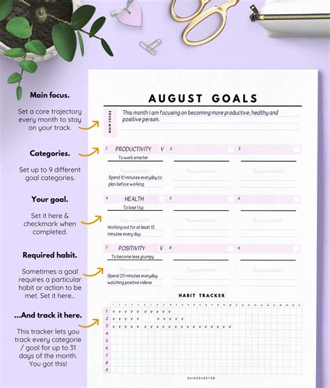 Monthly Goal Planner 13 Pages Shinesheets
