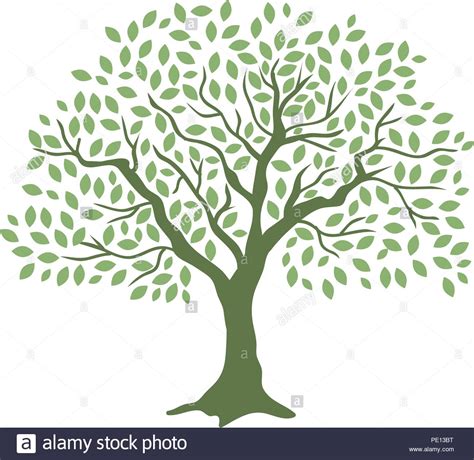 Los celtas reconocieron el hecho de que los árboles son el centro de todo lo que ocurrió en la vida. árbol de la vida Ilustración del Vector, Imagen: 215154236 ...