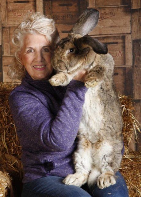 the largest rabbit on the planet weighs 49 lbs and is over 4 feet long