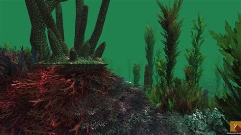 Pin By Brad George On Vegetation Underwater Underwater Plants