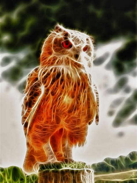 Fire Owl V1 By Tilly Williams Owl Tillys Interesting Art